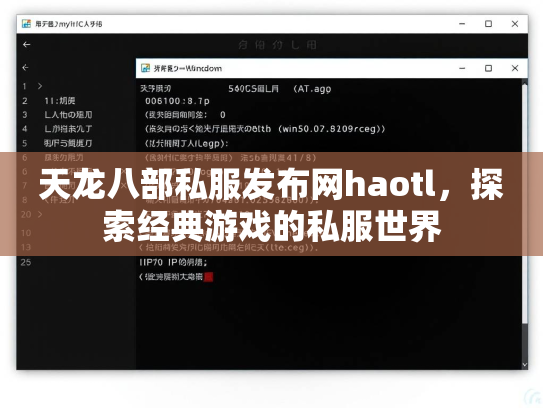 天龙八部私服发布网haotl，探索经典游戏的私服世界  第3张