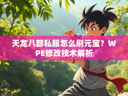 天龙八部私服怎么刷元宝？WPE修改技术解析  第2张