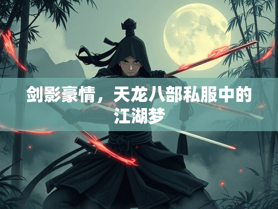 剑影豪情，天龙八部私服中的江湖梦  第1张