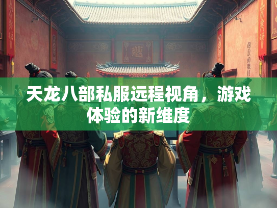 天龙八部私服远程视角，游戏体验的新维度  第2张