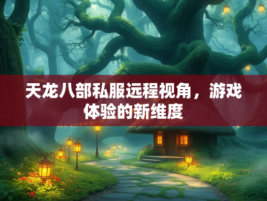 天龙八部私服远程视角，游戏体验的新维度  第3张