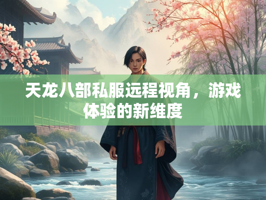 天龙八部私服远程视角，游戏体验的新维度  第1张