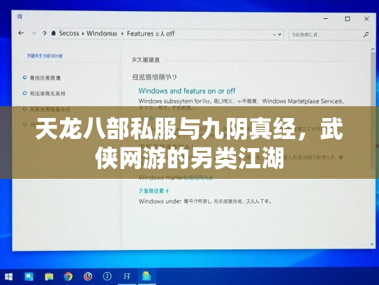 天龙八部私服与九阴真经，武侠网游的另类江湖