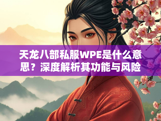 天龙八部私服WPE是什么意思？深度解析其功能与风险  第2张