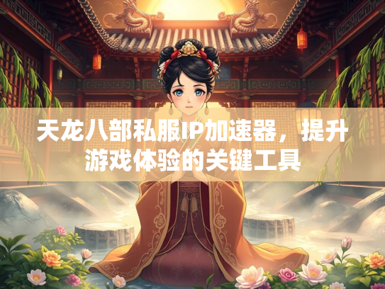 天龙八部私服IP加速器，提升游戏体验的关键工具  第3张