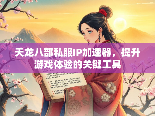 天龙八部私服IP加速器，提升游戏体验的关键工具  第1张