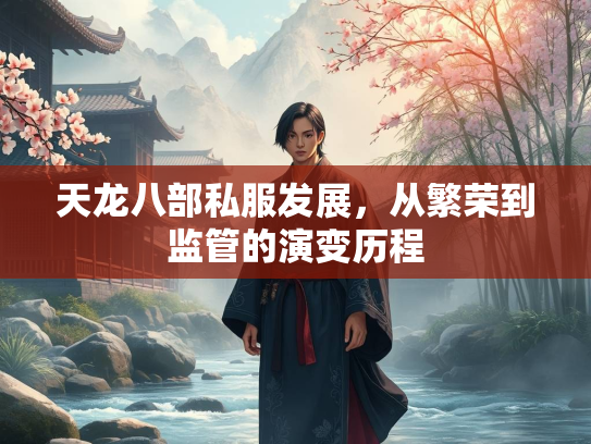 天龙八部私服发展，从繁荣到监管的演变历程  第2张