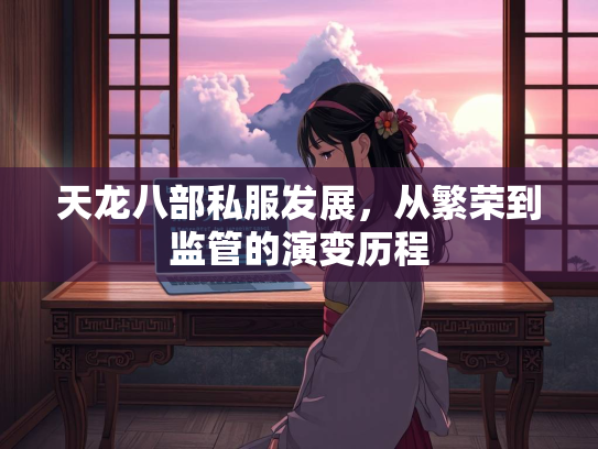 天龙八部私服发展，从繁荣到监管的演变历程  第3张