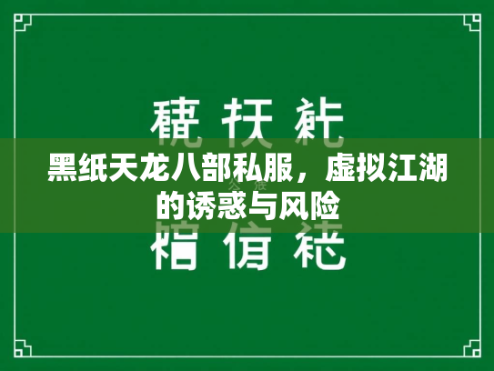 黑纸天龙八部私服，虚拟江湖的诱惑与风险  第2张
