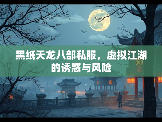 黑纸天龙八部私服，虚拟江湖的诱惑与风险  第3张