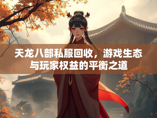 天龙八部私服回收，游戏生态与玩家权益的平衡之道  第3张