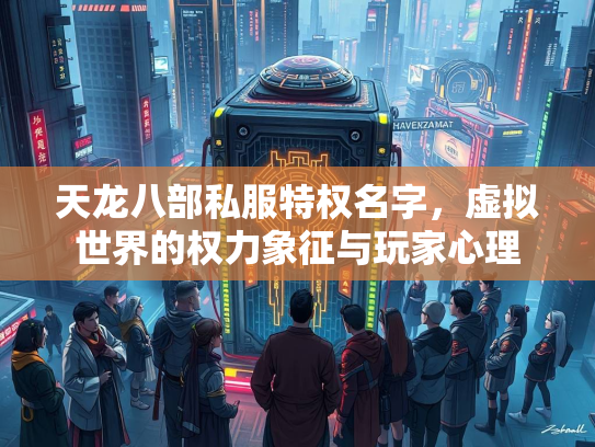 天龙八部私服特权名字，虚拟世界的权力象征与玩家心理  第1张
