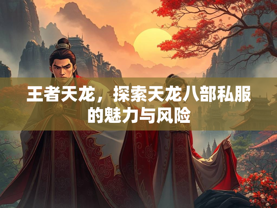 王者天龙，探索天龙八部私服的魅力与风险  第2张