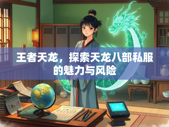 王者天龙，探索天龙八部私服的魅力与风险  第3张