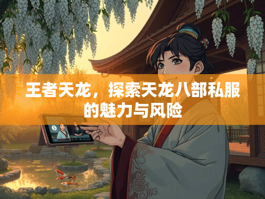 王者天龙，探索天龙八部私服的魅力与风险  第1张