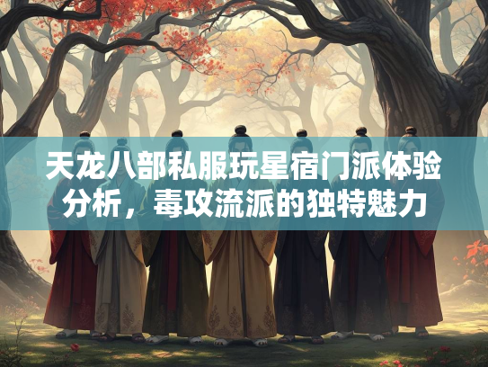 天龙八部私服玩星宿门派体验分析，毒攻流派的独特魅力  第1张