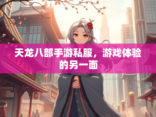 天龙八部手游私服，游戏体验的另一面  第3张