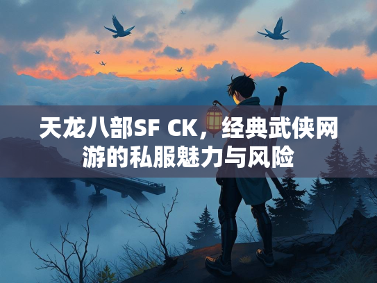 天龙八部SF CK，经典武侠网游的私服魅力与风险  第3张