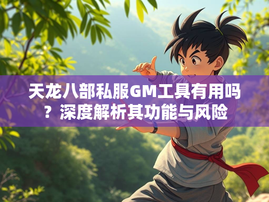 天龙八部私服GM工具有用吗？深度解析其功能与风险  第2张