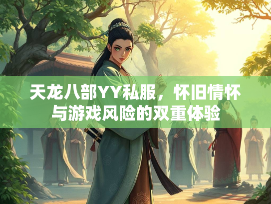 天龙八部YY私服，怀旧情怀与游戏风险的双重体验  第2张