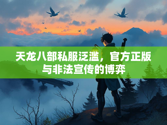 天龙八部私服泛滥，官方正版与非法宣传的博弈  第2张