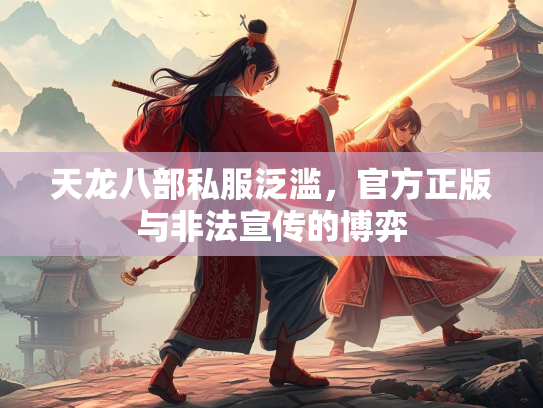 天龙八部私服泛滥，官方正版与非法宣传的博弈  第3张