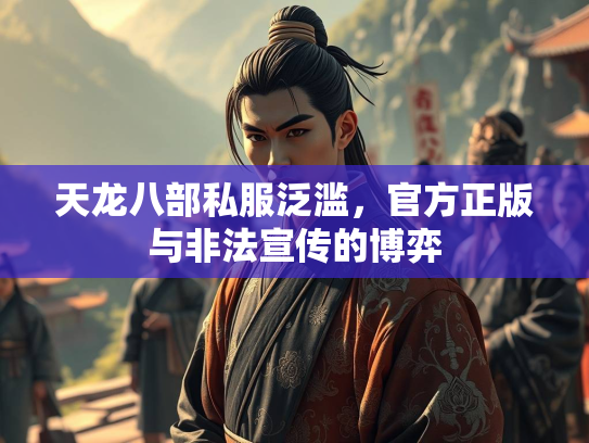 天龙八部私服泛滥，官方正版与非法宣传的博弈  第1张