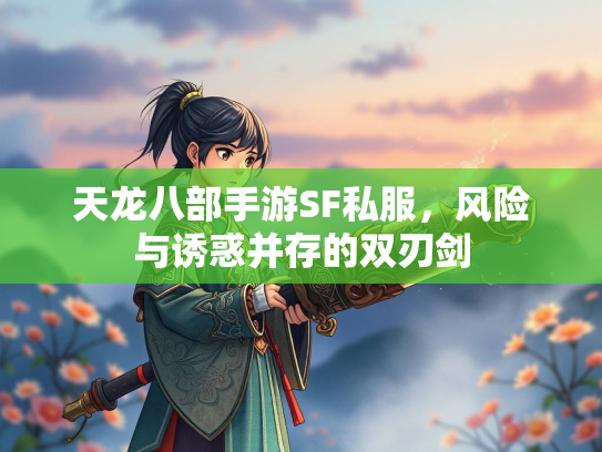 天龙八部手游SF私服，风险与诱惑并存的双刃剑  第3张