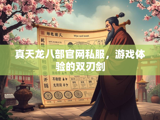 真天龙八部官网私服，游戏体验的双刃剑