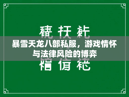 暴雪天龙八部私服，游戏情怀与法律风险的博弈