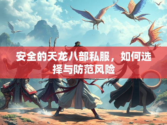 安全的天龙八部私服，如何选择与防范风险  第2张