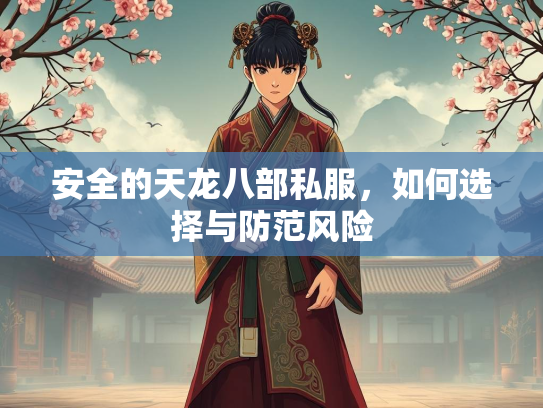 安全的天龙八部私服，如何选择与防范风险  第3张