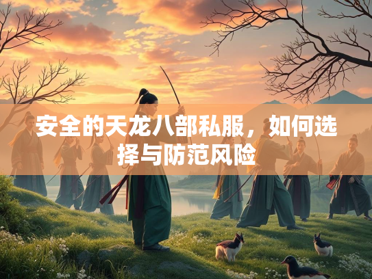 安全的天龙八部私服，如何选择与防范风险  第1张