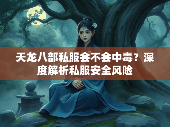 天龙八部私服会不会中毒？深度解析私服安全风险  第1张