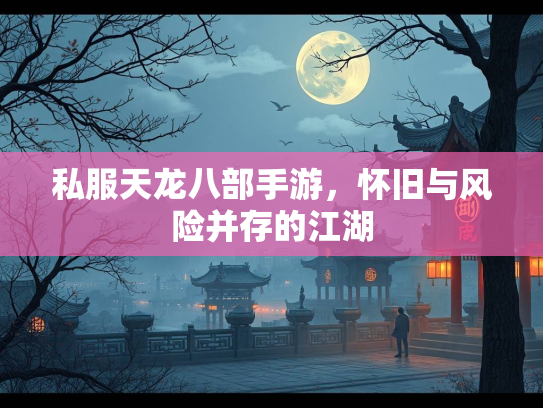 私服天龙八部手游，怀旧与风险并存的江湖  第2张