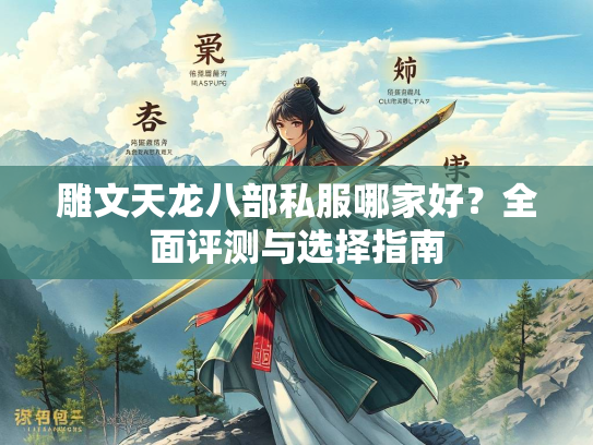 雕文天龙八部私服哪家好？全面评测与选择指南  第2张