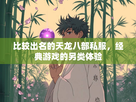 比较出名的天龙八部私服，经典游戏的另类体验  第2张
