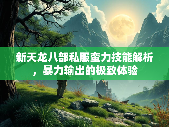 新天龙八部私服蛮力技能解析，暴力输出的极致体验  第1张
