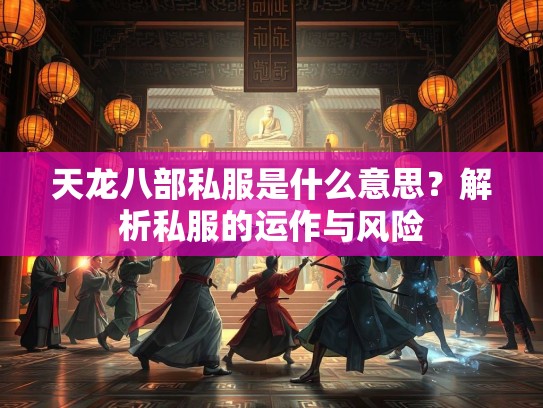 天龙八部私服是什么意思？解析私服的运作与风险  第2张