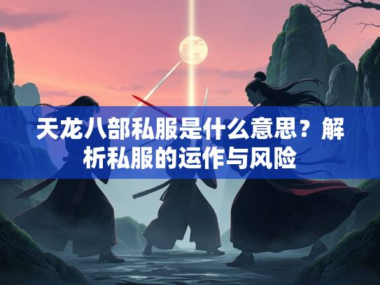 天龙八部私服是什么意思？解析私服的运作与风险  第3张