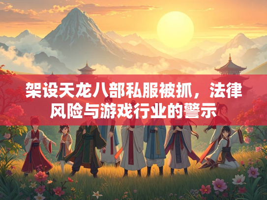 架设天龙八部私服被抓，法律风险与游戏行业的警示  第2张