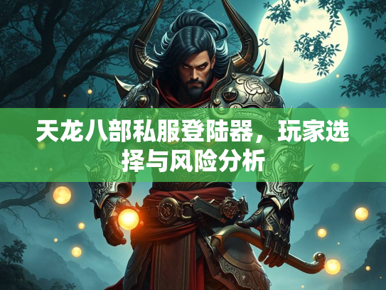 天龙八部私服登陆器，玩家选择与风险分析  第2张