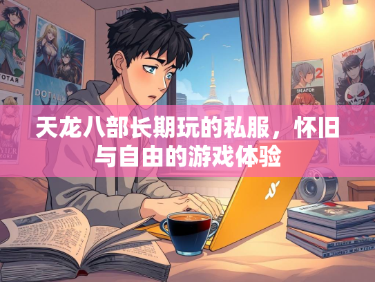 天龙八部长期玩的私服，怀旧与自由的游戏体验  第1张