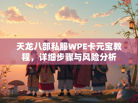 天龙八部私服WPE卡元宝教程，详细步骤与风险分析  第2张