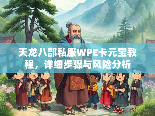 天龙八部私服WPE卡元宝教程，详细步骤与风险分析  第1张