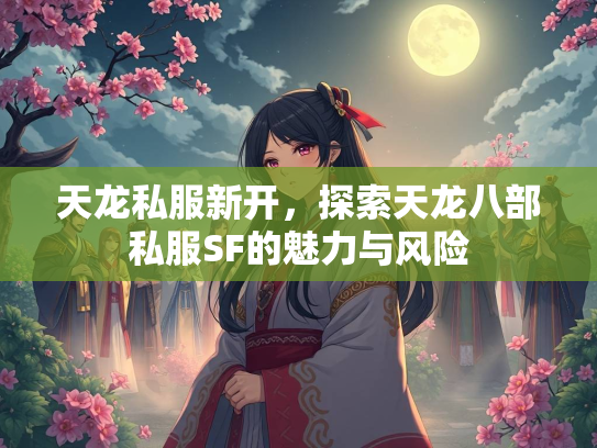天龙私服新开，探索天龙八部私服SF的魅力与风险  第2张