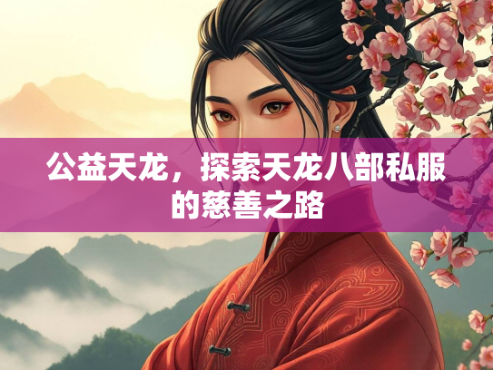 公益天龙，探索天龙八部私服的慈善之路  第3张