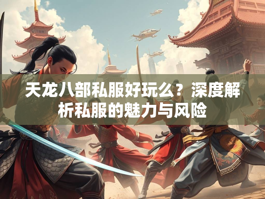 天龙八部私服好玩么？深度解析私服的魅力与风险  第2张
