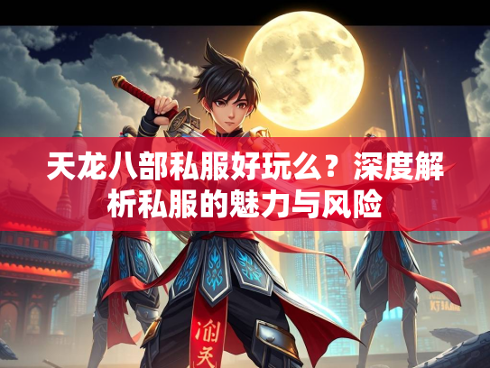 天龙八部私服好玩么？深度解析私服的魅力与风险  第3张