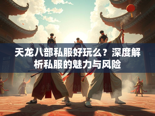 天龙八部私服好玩么？深度解析私服的魅力与风险  第1张